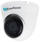 EverFocus EBN1240-SG ボール型IPカメラ